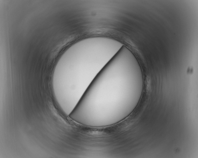 X0000113960637200909251027