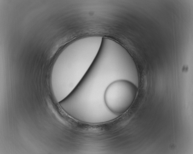 X0000113960638200909251027