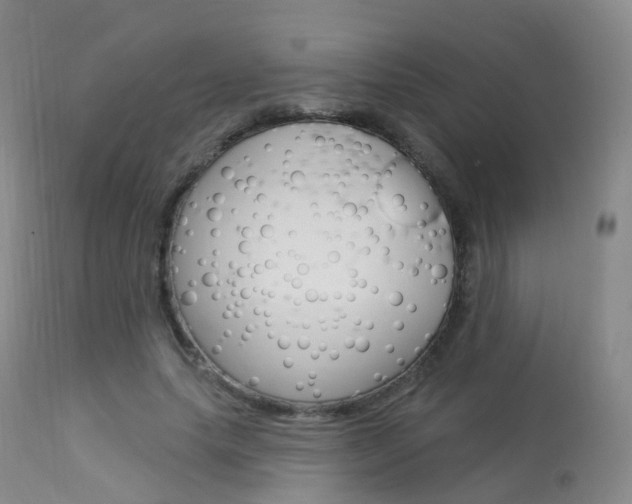 X0000113960639200909251027