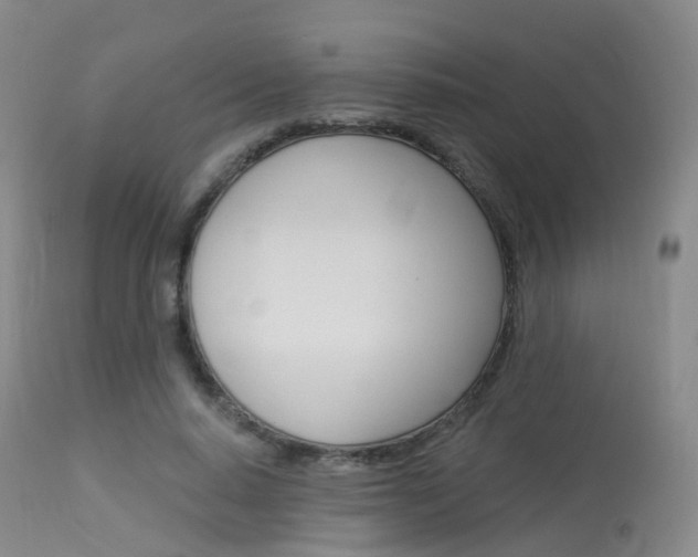 X0000113960640200909251027