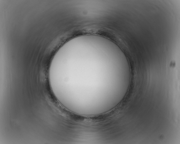 X0000113960641200909251027