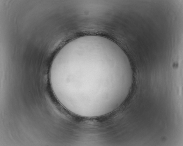X0000113960642200909251027