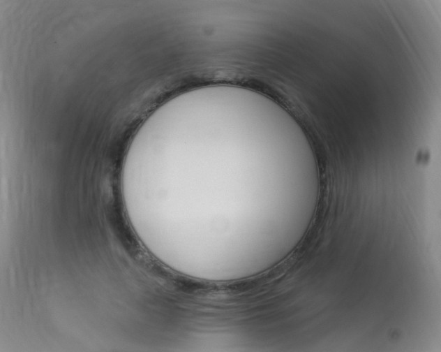 X0000113960643200909251027