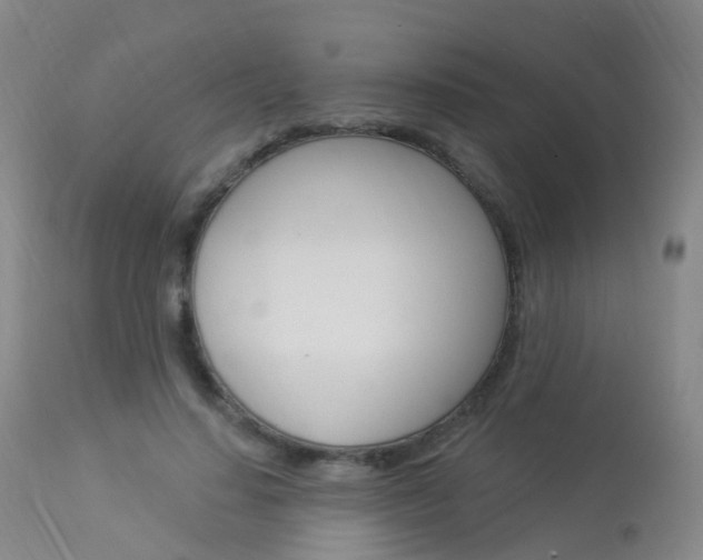 X0000113960644200909251027
