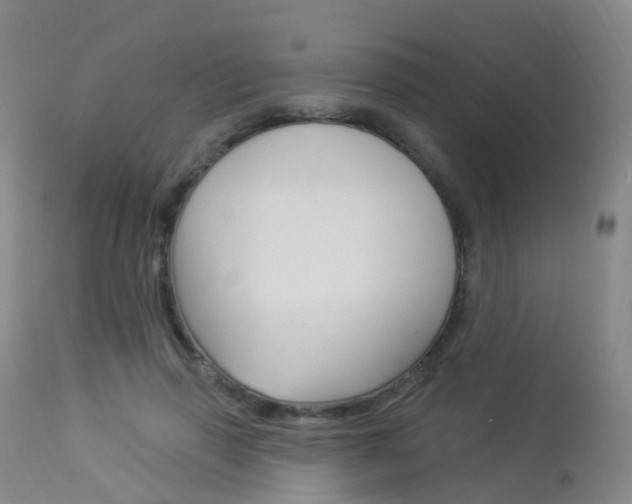X0000113960645200909251027