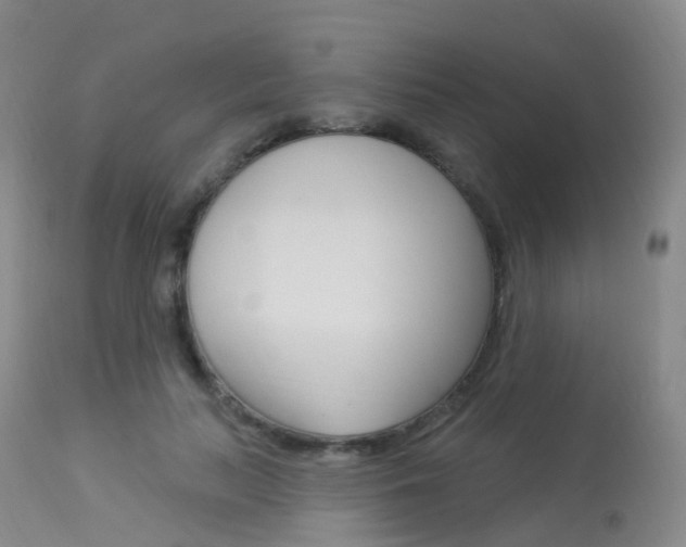 X0000113960647200909251027