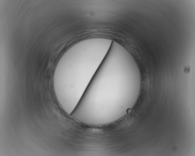 X0000113960649200909251027