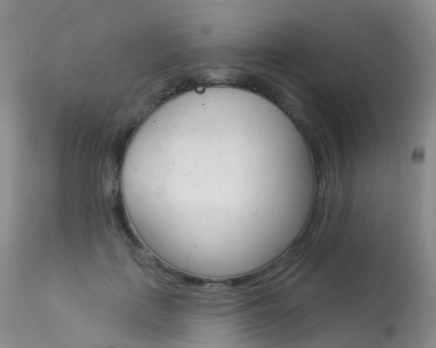 X0000113960651200909251027