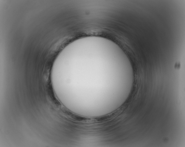 X0000113960652200909251027
