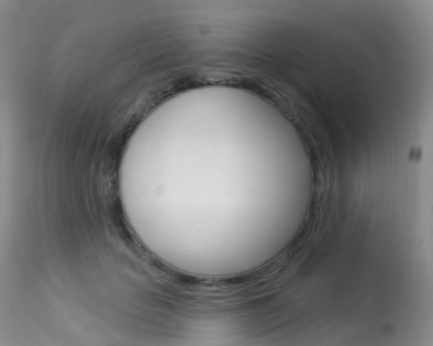 X0000113960653200909251027
