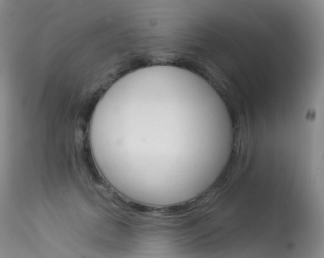 X0000113960655200909251027