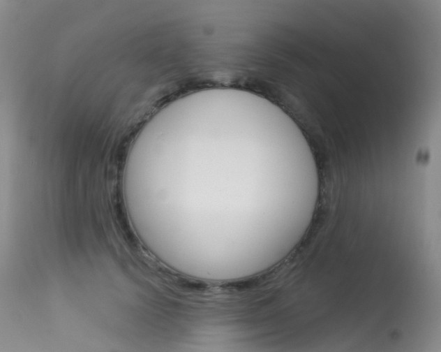 X0000113960656200909251027