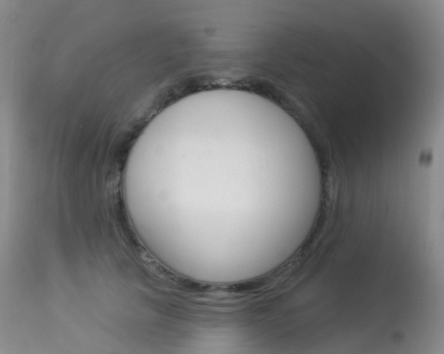 X0000113960657200909251027