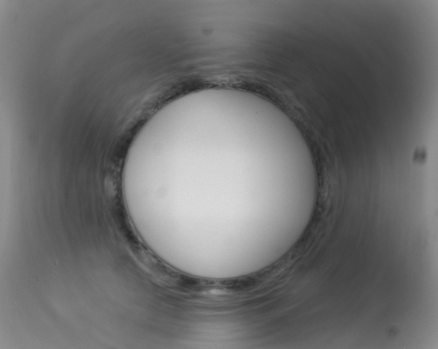 X0000113960658200909251027