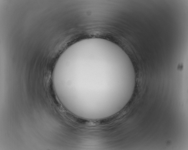 X0000113960660200909251027