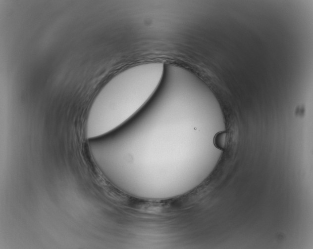 X0000113960661200909251028