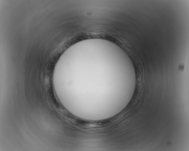X0000113960662200909251028