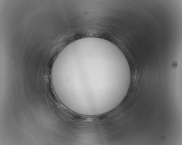 X0000113960663200909251028