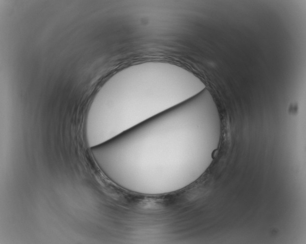 X0000113960664200909251028