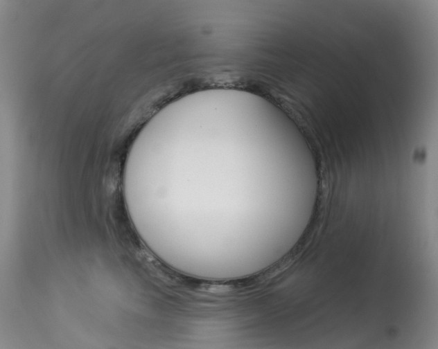 X0000113960665200909251028