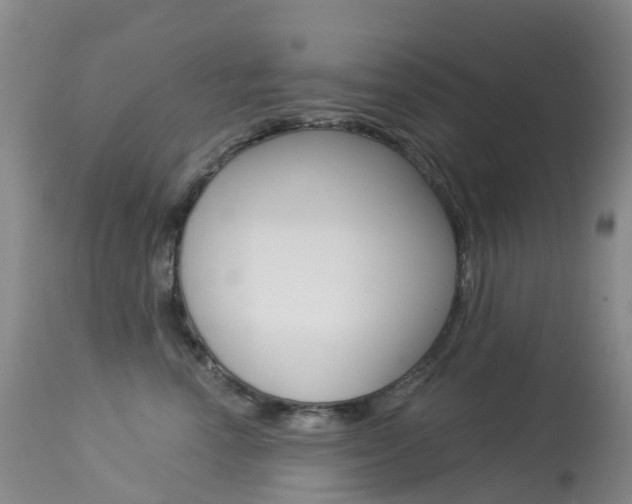 X0000113960666200909251028