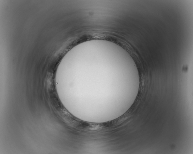X0000113960667200909251028