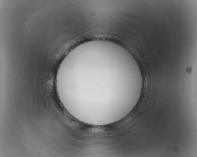 X0000113960668200909251028
