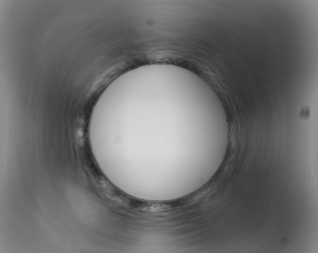 X0000113960670200909251028