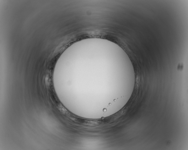 X0000113960671200909251028