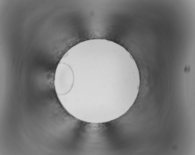 X0000113960672200909251028