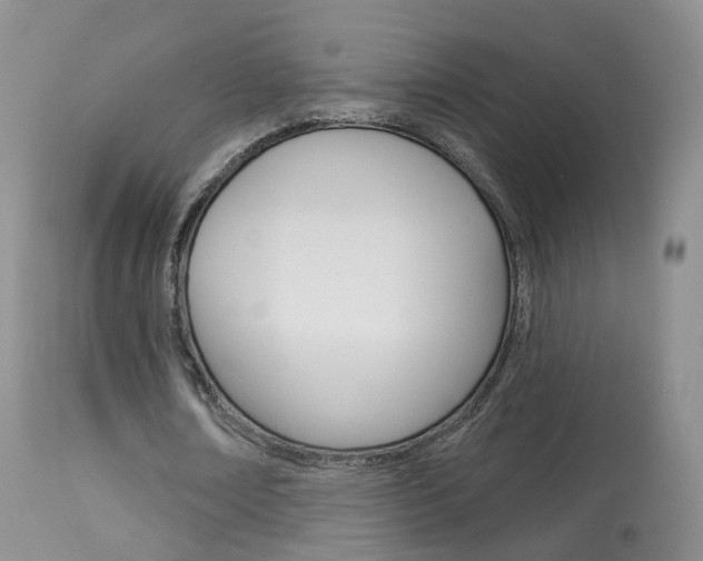 X0000113960674200909251027