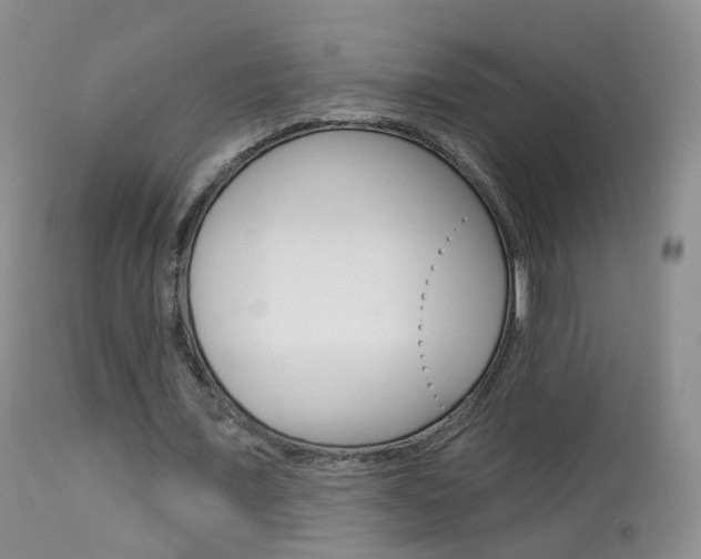 X0000113960675200909251027