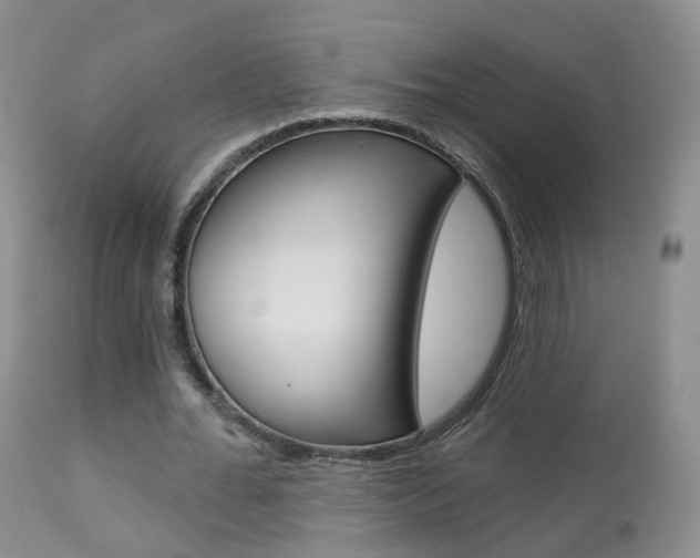 X0000113960676200909251027