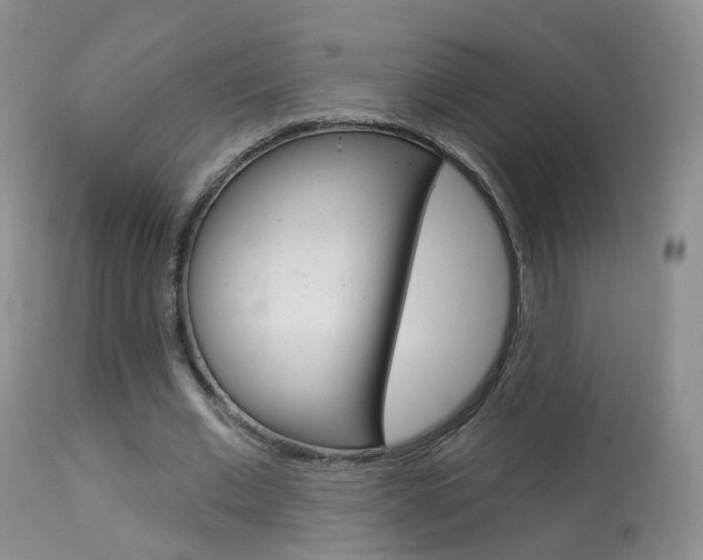 X0000113960677200909251027