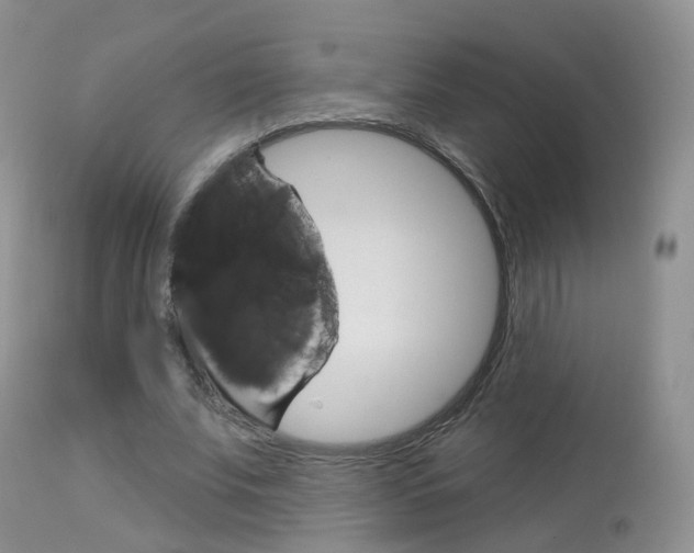 X0000113960679200909251027
