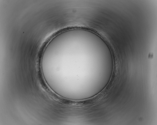X0000113960680200909251027