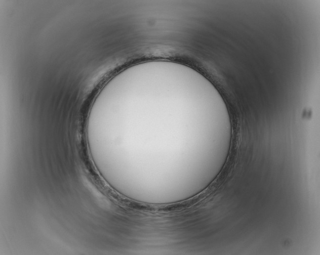 X0000113960683200909251027