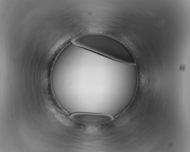 X0000113960684200909251027