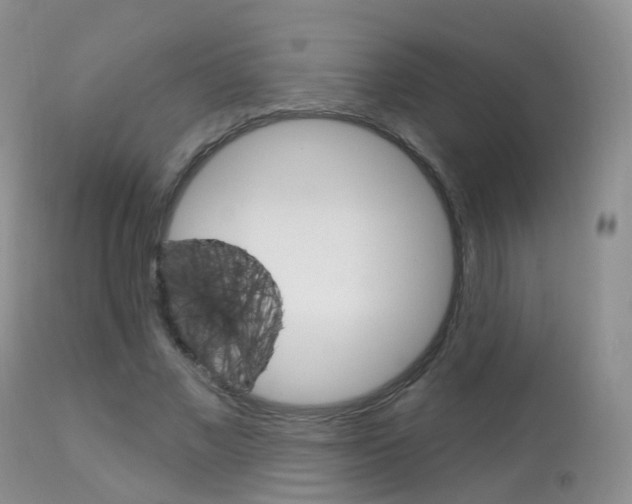 X0000113960685200909251027