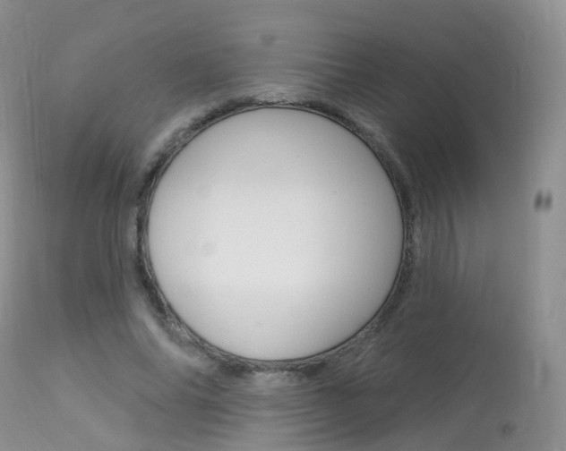 X0000113960686200909251027