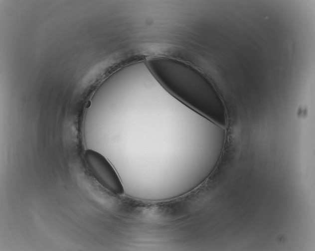 X0000113960688200909251027
