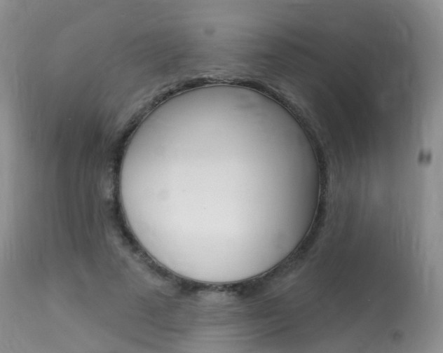X0000113960689200909251027
