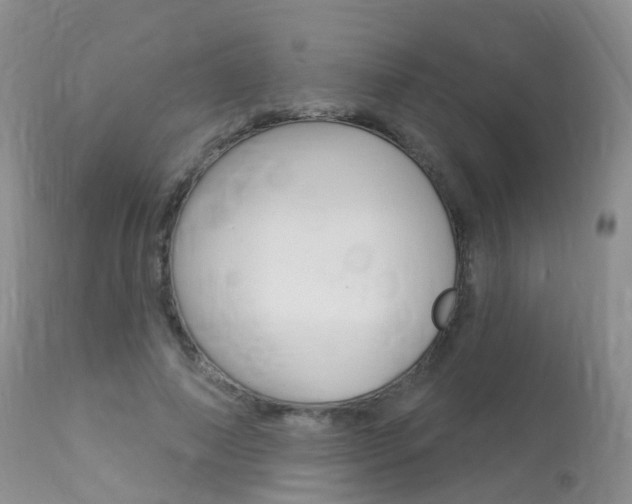 X0000113960690200909251027