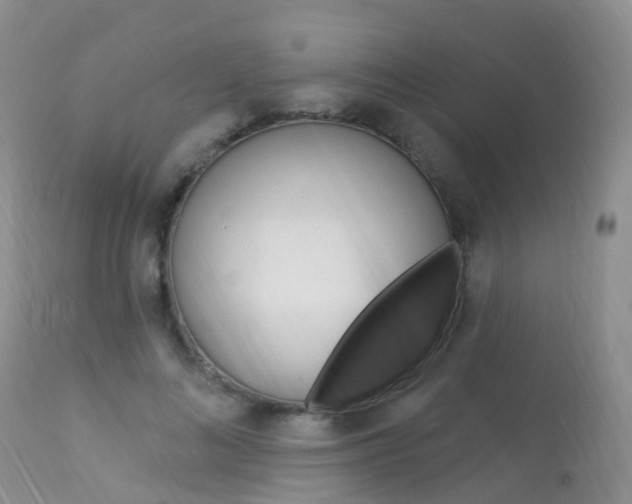X0000113960692200909251027