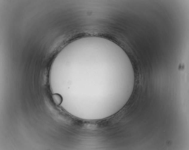 X0000113960694200909251027