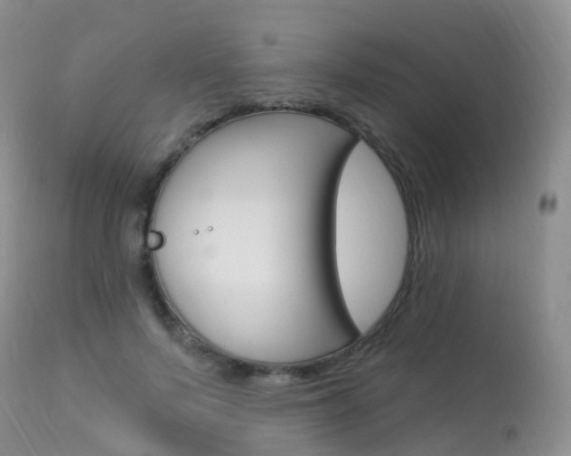 X0000113960695200909251027
