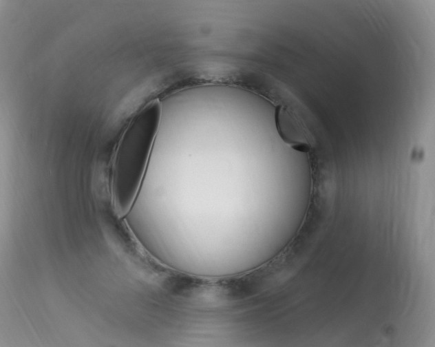 X0000113960696200909251027