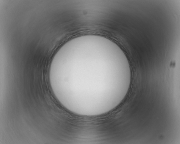 X0000113960697200909251027
