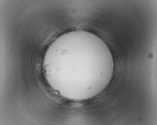 X0000113960698200909251027