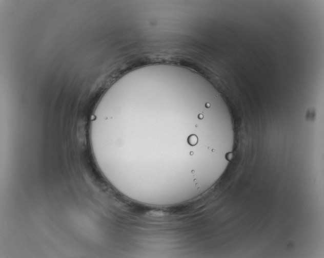 X0000113960699200909251027
